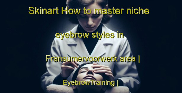 Skinart How to master niche eyebrow styles in Fransumervoorwerk area | EyebrowTraining | EyebrowClasses | SkinartTraining-Netherlands
